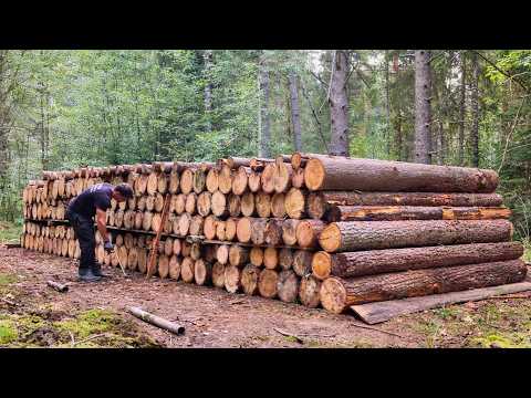 Two Men Build LOG CABIN In The Wild | Full Build by @lifeinthesiberianforest1 thumbnail