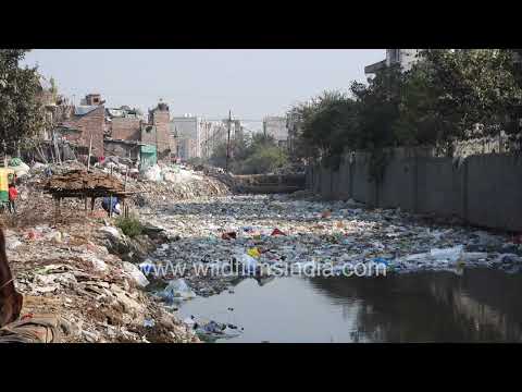 Taimoor Nagar Drain | Delhi’s Growing Plastic Waste Crisis thumbnail