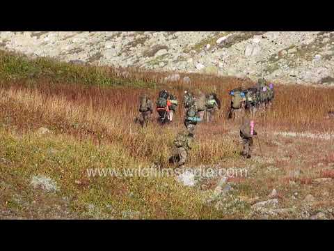 High-altitude trekking through the alpine meadows of Harsil Valley thumbnail