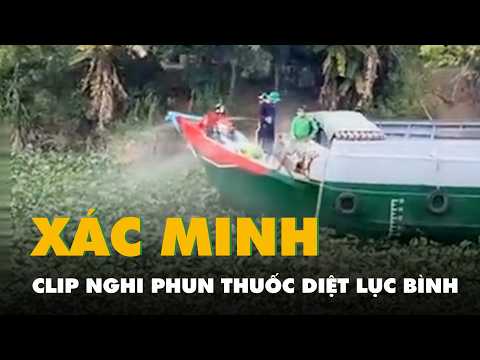Xác minh clip nghi phun thuốc diệt lục bình trên kênh gây ô nhiễm thumbnail