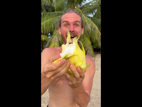 The Secret Dragon Fruit You Didn't Know Existed thumbnail