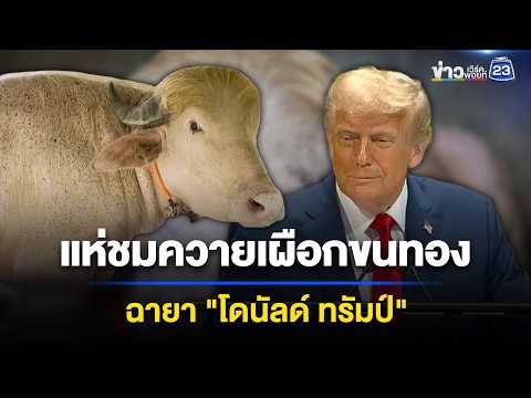 แห่ดูควายเผือก "ทรัมป์" ดาวเด่นสวนสัตว์ l ข่าวเที่ยงเวิร์คพอยท์ l 4 มิ.ย. 69 thumbnail