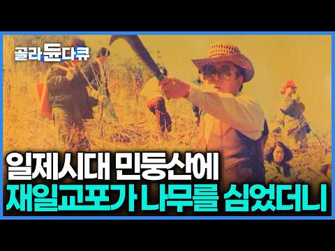 일본서 번 돈으로 척박한 민둥산에 나무를 심은 아버지. 4대째 이어가는 기적의 스토리｜한국기행｜#골라듄다큐 thumbnail