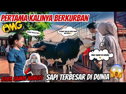 SEMUA ORANG NANGIS !!! DETIK DETIK ADAM SYIFA BERPISAH DENGAN SAPI QURBANNYA😱 BYE IRENG🥹 thumbnail