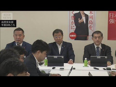 自民 国旗損壊罪骨子案まとめる　お子様ランチの旗などは対象外(2026年5月22日) thumbnail