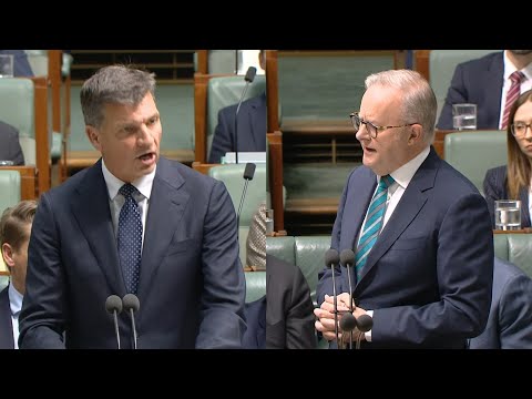 Angus Taylor accuses PM of ‘refusing to be honest’ on CGT changes during Question Time thumbnail