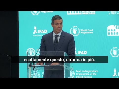 La denuncia di Sanchez dalla Fao di Roma: "La fame sta diventando un'arma più economica dei missili" thumbnail