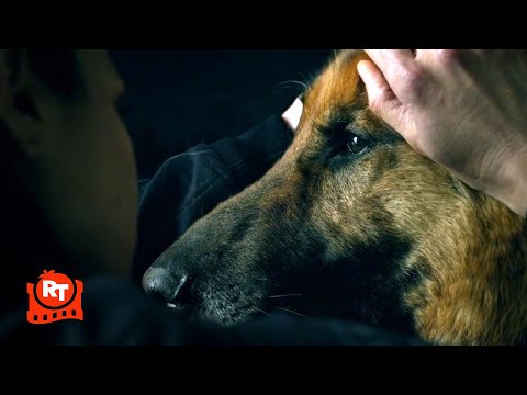 S.W.A.T. - Chris' Dog Partner Is Dying (S2E18) (2/5) | Movieclips thumbnail