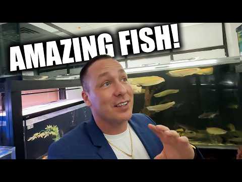 This aquarium store has the BEST fish! global pets new jersey thumbnail