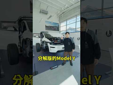 台灣特斯拉博物館開幕！雖然小小的但有一台解構Model Y很酷！還有印章可以搜集～就在南港特斯拉 thumbnail