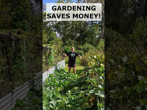 Food Gardening Saves Money thumbnail