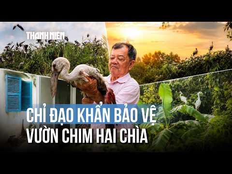 Vụ chủ vườn chim Hai Chìa kêu cứu: Chủ tịch UBND tỉnh Vĩnh Long chỉ đạo khẩn thumbnail