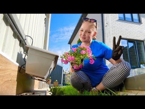 ВЛОГ Прошу мужа ОТРЕЗАТЬ НОЖКИ у стульев ! Новые цветы для сада ! Купили вкусную рыбку !  thumbnail