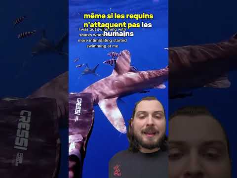 Comment sortir de cette situation ? ? #culturegenerale #animaux #poisson #requin #mer thumbnail