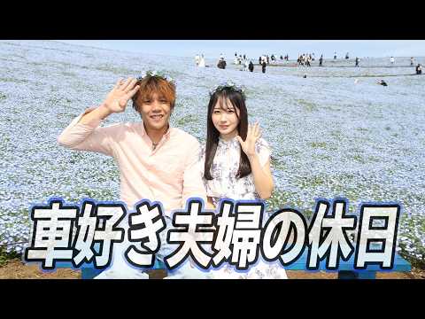 りさこちゃんが整備してネモフィラを見に行いく thumbnail