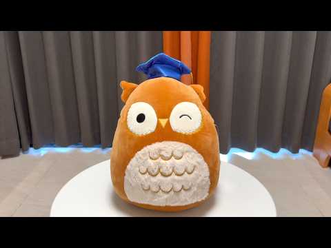 Squishmallows Arella Brown Owl with Graduation Cap Plush Unboxing 2026 thumbnail