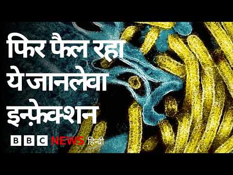 Ebola Infection इन देशों में फैला, कम से कम 100 लोगों की मौत, देखिए कैसे हैं हालात (BBC Hindi) thumbnail