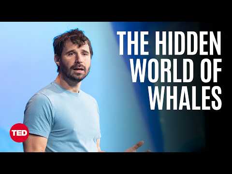 A Whale’s-Eye-View of the Ocean | Eric Stackpole | TED thumbnail