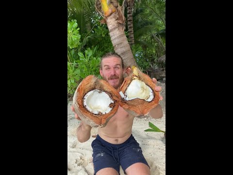 Incredible Fruit Discovery thumbnail