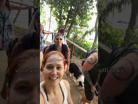 31 de março de 2025 thumbnail