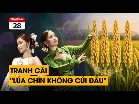 "Lúa chín cao nhưng chẳng hề cúi đầu" - Câu hát gây tranh cãi của nhạc sĩ Châu Đăng Khoa. thumbnail