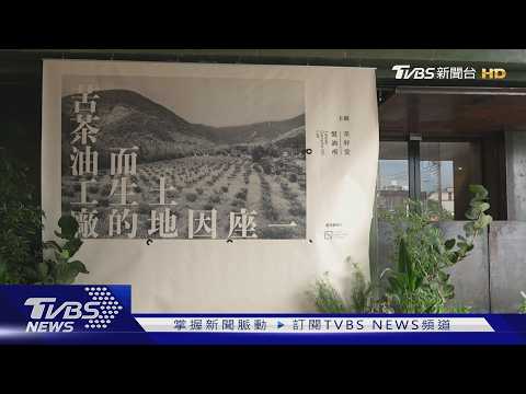 地方創生 十年重建苦茶油供應鏈｜TVBS新聞  @TVBSNEWS01​ thumbnail
