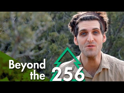 Watching Sugar Pine 7 BANGERS | Beyond the Pine #256 thumbnail