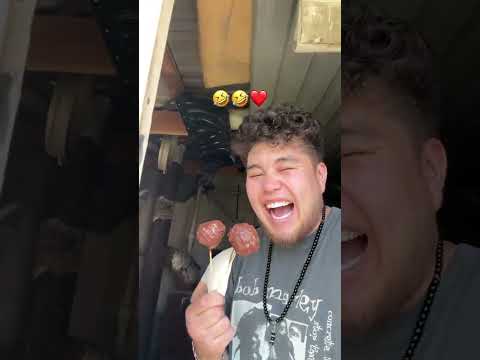 Аххахаа 😂🤣 #funny #пранк #юмор thumbnail