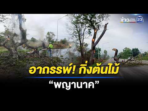 อาถรรพ์ต้นไม้ 50 ปี กิ่งหักคล้าย “พญานาค”  l ตลาดข่าว - ข่าวเช้าเวิร์คพอยท์ l 21 พ.ค.69 thumbnail