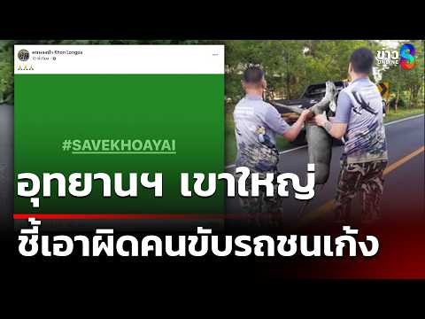 สะเทือนใจ รถชนเก้ง อุทยานฯ ชี้เก้งเป็นสัตว์ป่าคุ้มครอง เอาผิดคนขับชน | 3 มิ.ย. 69 | ข่าวใหญ่ช่อง8 thumbnail