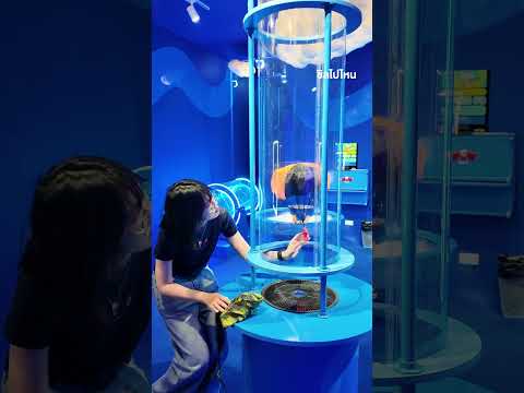 พิกัดที่เที่ยวกรุงเทพสุดว้าว! เปิดโลกแห่งการเรียนรู้แบบสนุกที่ WOW Park ชั้น 5 Gateway Ekkamai thumbnail