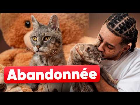 J'AI RECUEILLI UN CHAT GRAVEMENT BLESSÉ (Il est très touchant) thumbnail
