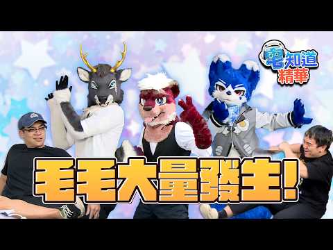 蘇志象全面攻佔各大社群平台｜6tan、鳥屎 Feat.蘇芳、黑鹿季雪、帕洛特｜現在宅知道精華 thumbnail