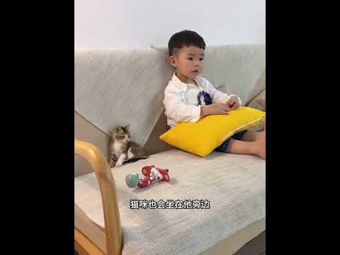 小孩哥与妈妈在公园玩，意外捡到只小猫，如今已经逆天改变！ #animals #动物救助 #pets #主人 #寵物友善日常 #感人壹幕 #搞笑 #貓咪日常 thumbnail
