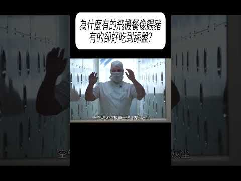 為什麼有的飛機餐像餵豬，有的卻好吃到舔盤?#科普 #漲知識 thumbnail
