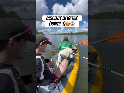 J’ai besoin d’aide… 😭# #goldenretriever #drole #chien #animaux #kayak thumbnail