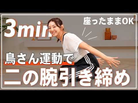 【地獄の3分】二の腕&背中痩せを目指す座ったまま筋トレ！腕を上げずにできる！【鳥さん運動】 thumbnail