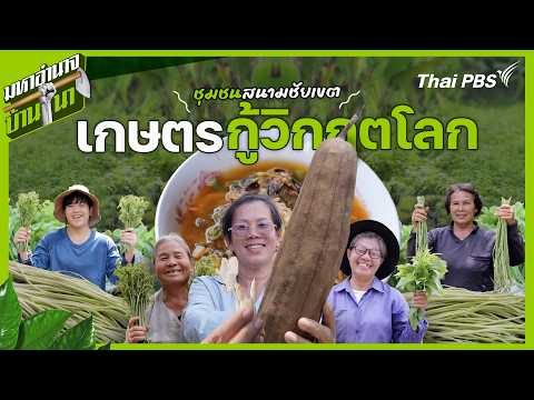 ชุมชนสนามชัยเขต เกษตรกู้วิกฤตโลก | มหาอำนาจบ้านนา thumbnail