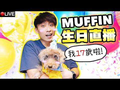直播【MUFFIN生日慶祝台】🐶: 我今天17歲了~~ thumbnail
