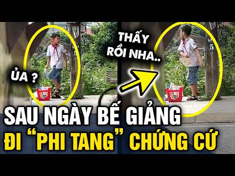 Phát hiện cậu bé PHI TANG HẾT SÁCH VỞ trên đường ĐI TỔNG KẾT về | Tin 3 Phút thumbnail