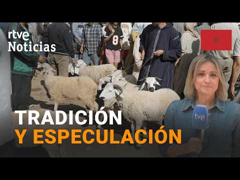 MARRUECOS | FIESTA del CORDERO: MERCADOS SATURADOS y PRECIOS DISPARADOS | RTVE Noticias thumbnail