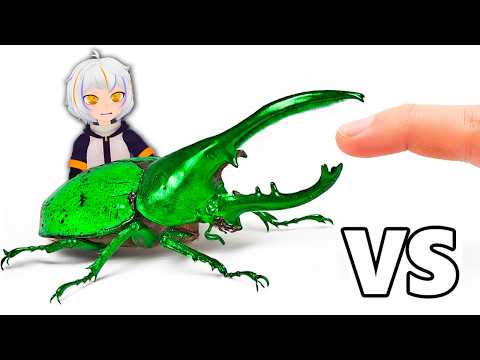 Insectos Más Mortales vs. Dedo | ChuyMine REACCIONA a TerraVerde Español thumbnail