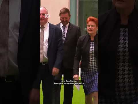 New poll shows One Nation could win 59 seats | ABC NEWS thumbnail