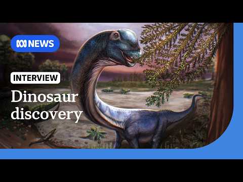 Giant new dinosaur identified from fossils in Thailand | The World | ABC NEWS thumbnail