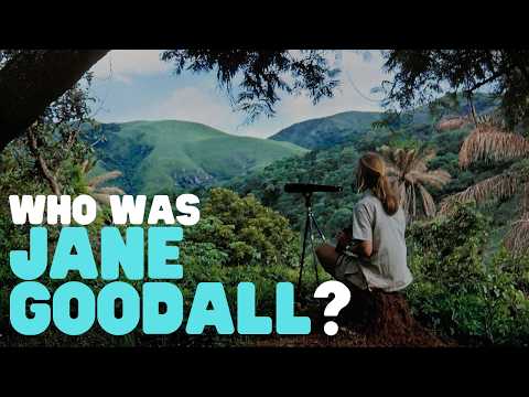Who Was Jane Goodall? | Learn about this amazing woman and her world-changing discoveries thumbnail