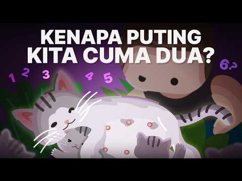 Kenapa Puting Hewan Ada Banyak, Manusia Cuma Dua? thumbnail