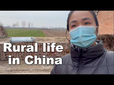 Daily Life in Rural China ??| Family, Food & Picking Up My Brother from School thumbnail