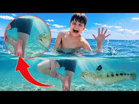 PANICO IN SPIAGGIA! Kevin viene PUNTO da una TRACINA thumbnail