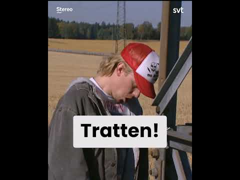 Från dum till dummare 🤣⚡️Stereo 👉 länk 👇 #svthumor #svtplay #humor thumbnail