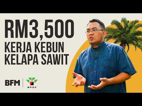 Orang curi buah kelapa sawit sebab ini thumbnail